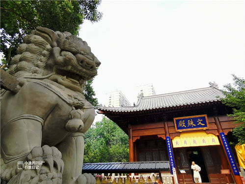 西安面积最大的古寺,竟在闹市中心 墙外人山人海,墙内古韵悠悠