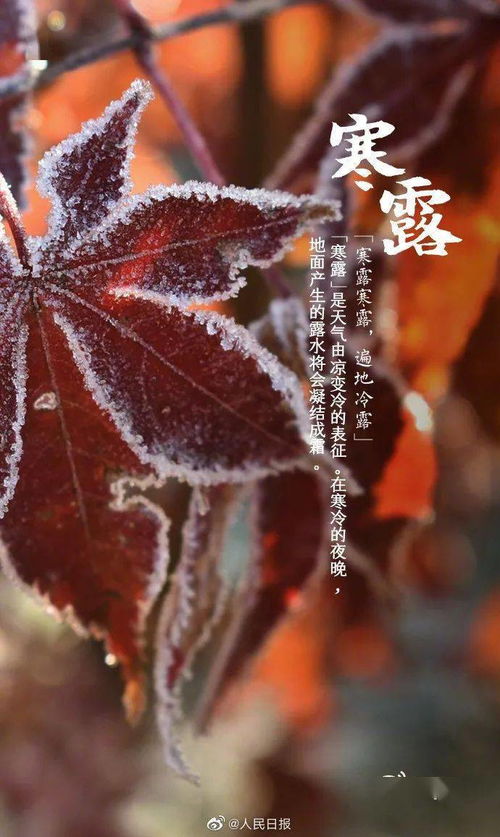 九月节,露气寒冷,将凝结也