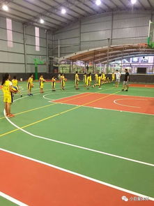 篮球训练营招生方案,踏上篮球之旅:加入我们的精英训练营!