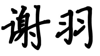 嘿嘿 想求一个个性签名设计 名字是谢羽 各路高人 谢谢啦 