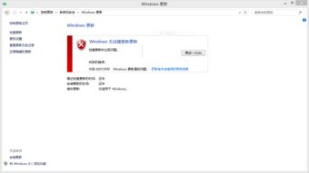 80072ee2错误解决方法(w10专业版0x8007232b)