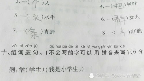 了如拍掌造句  了怎么组词语一年级？