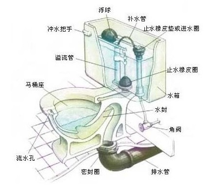 坐便器下水道结构图图片