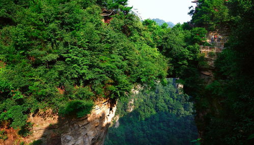 离我最近的旅游景区有哪些 离这儿最近的旅游景点