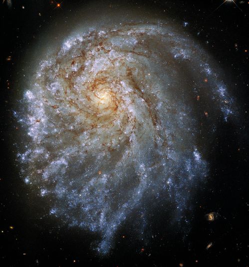哈勃观测到不平衡的星系 NGC 2276