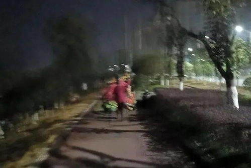 滨江步道 夜与晨的故事