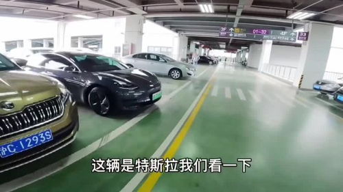 上海最大二手车市场,车贩子淘车直接先砍2万,拿回去就赚上万元 