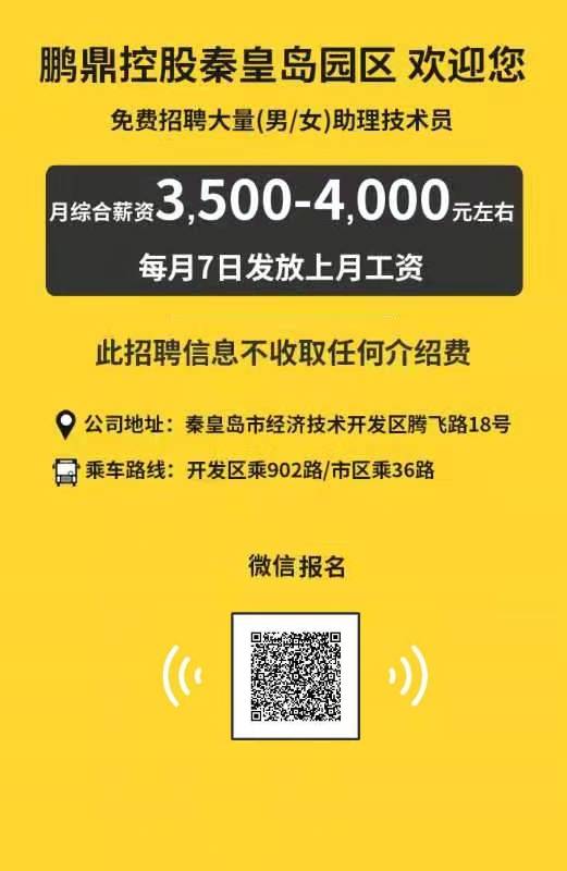 秦皇岛鹏鼎控股能让带手机的都有哪些工作 最好不用长时间站着