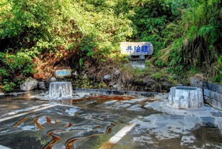 腾冲旅游攻略 边陲小镇正确的打开方式 赏银杏 泡温泉,游美景.....1580元 人