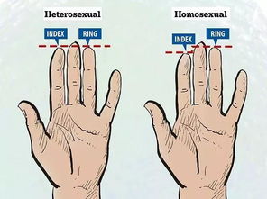 手指头长短会暴露你的性取向 以后你还敢轻易和别人握手吗