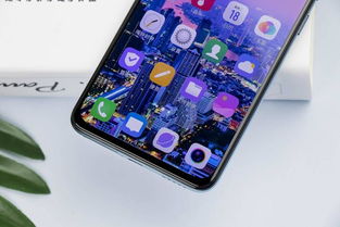 vivo S1 Pro仲夏梦美图鉴赏 神仙颜值下暗藏着行业最强自拍性能