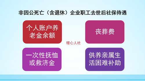 个人缴费可以只交养老保险吗(社会保险法不是自缴费险种)