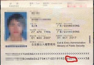 新加坡旅游签证,新加坡旅游签证详解