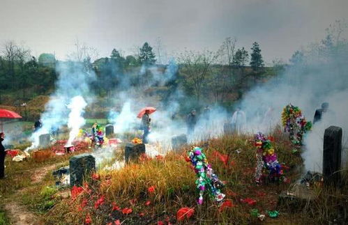 为什么说：这几天在农村清明节上坟（祭祖）要特别注意防火