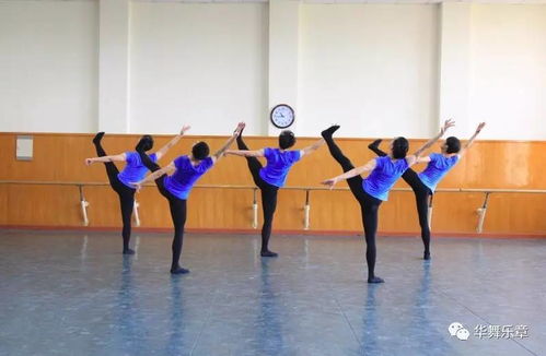 舞蕾舞蹈学校怎样,舞蕾舞蹈学校：绽放舞者灵魂，塑造魅力人生