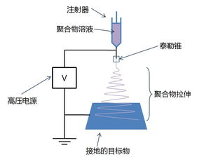 静电纺丝毕业论文