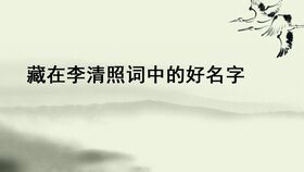 李姓宝宝起名四字,传承文化，寓意美好