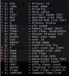 linux命令top,系统性能监控的得力助手