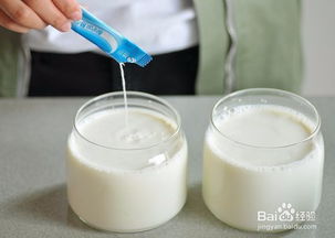 酸奶机怎么做酸奶(小熊牌酸奶机如何做酸奶)
