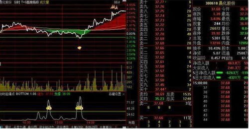 中国股市 为什么一提T 0散户就反对 此文无价,很短很深 