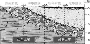 土壤是怎么生成的 科普之窗 