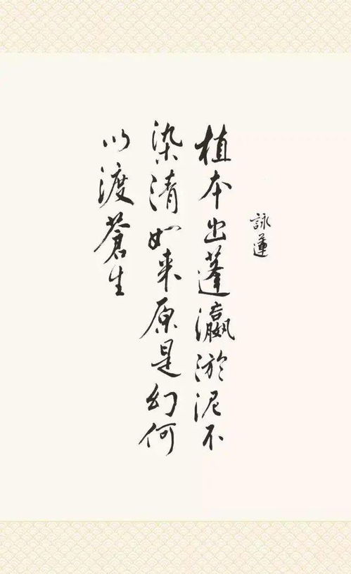感动中国 叶嘉莹 我一生的苦难都写在我的诗词里