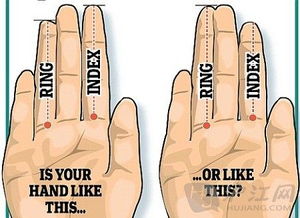 手指的秘密 长度决定性格和患病风险 双语 