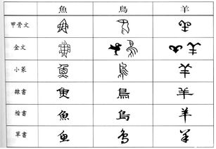 敬畏汉字作文300字