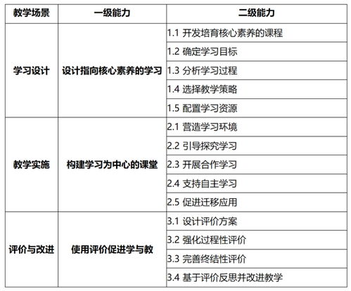 卓越教师教学能力标准 