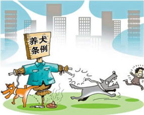武汉市人大常委会启动养犬管理条例执法检查