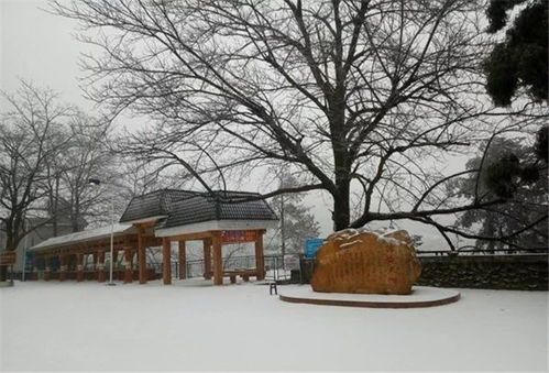 广东这几个地方这周可能会下雪,雪景最漂亮在这几个地方