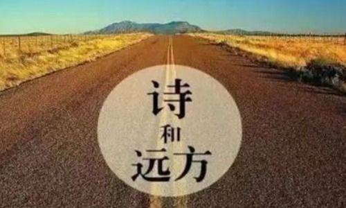 生活不只是苟且 还有诗和远方是什么意思 