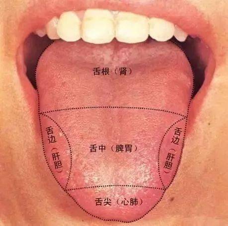 巧用舌头让性愉悦感增强十倍(让你的舌头更加灵活)