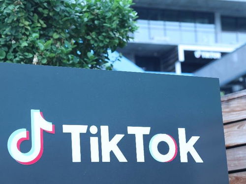 Tiktok注册完_tiktok怎么开通专业账户