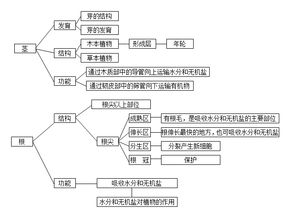 每天分享的小知识点