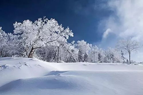 下雪说说心情短语精选,下雪天的说说心情短语 下雪天你想一起走到白头我却怕你着凉-第4张图片