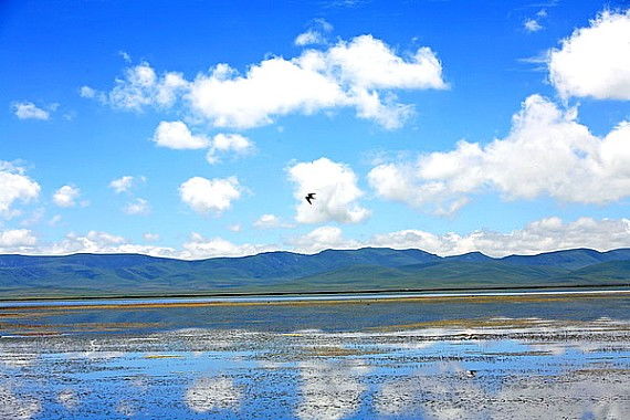 尕海湖旅游景区简介,绝美之地！尕海湖旅游景区：高