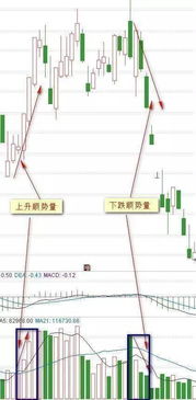 江苏阳光为什么周五逆势下跌？