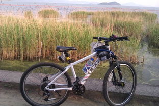 一个人单车环太湖5天300公里 女子骑行