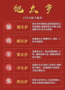 2020年犯太岁的这几个生肖,这件事你一定要记得做