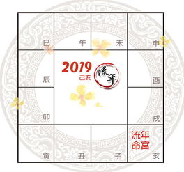 许耀焜紫微精论 2019己亥年综合运势解析 