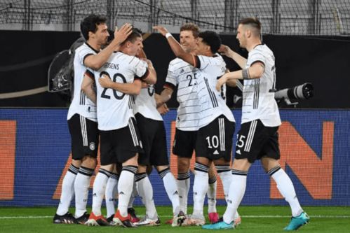欧洲杯德国队主力阵容, 2024 年欧洲杯：德国队主力阵容