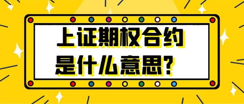  期权合约是什么意思,期权合约类型 交易所