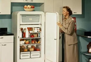 技巧 你真的懂如何清理冰箱吗