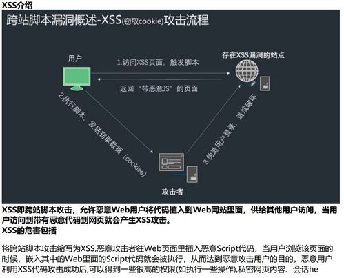 XSS跨脚本漏洞：危害解析与防治策略  第1张