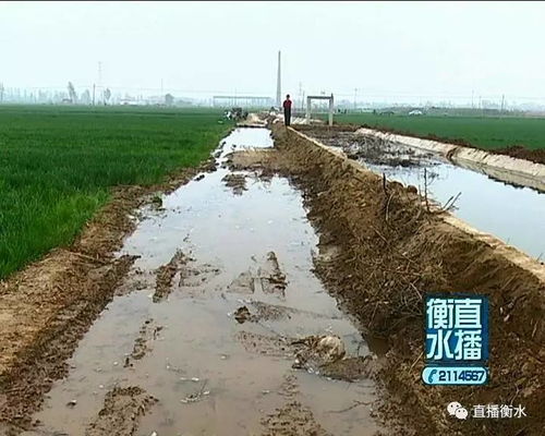 灌溉渠运行即塌陷 如此工程遭质疑