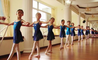 舞动青春，点燃梦想——高中艺考舞蹈培训机构的魅力之旅