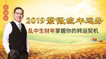 张盛舒2019紫微流年运势预测 谁有滔天好运