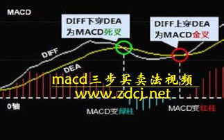如何技术选股 MACD三步买卖法