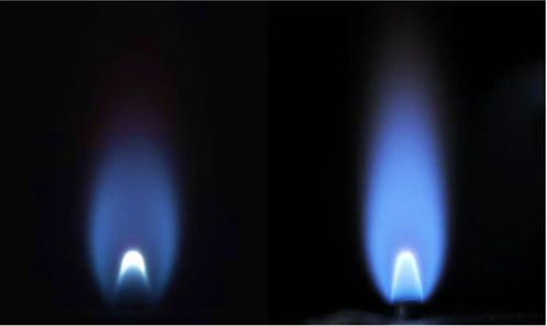 甲烷能不能燃烧,甲烷通入足量二氧化碳会不会燃烧？